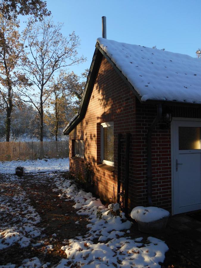 Ferienwohnung Villa Luett Bleckede Esterno foto